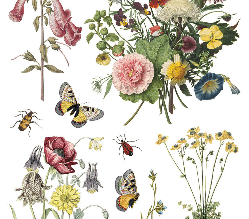 Wilde Bloemen IOD Transfer