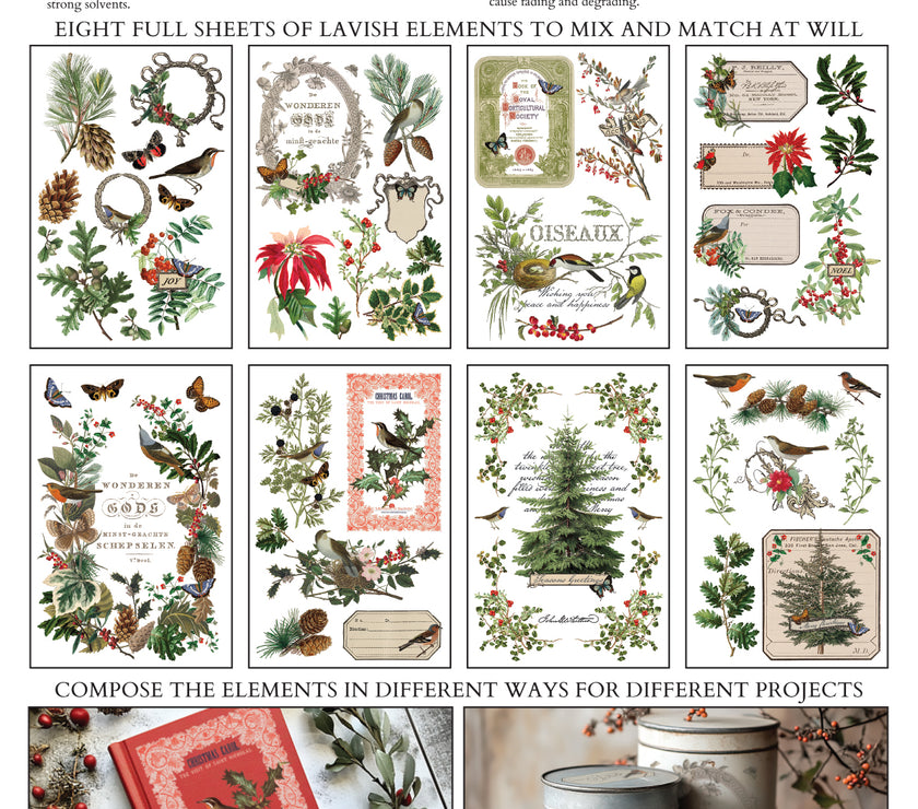 Winter Botanist IOD Transfer 8x12 Pad