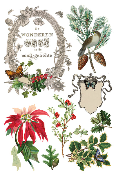 Winter Botanist IOD Transfer 8x12 Pad