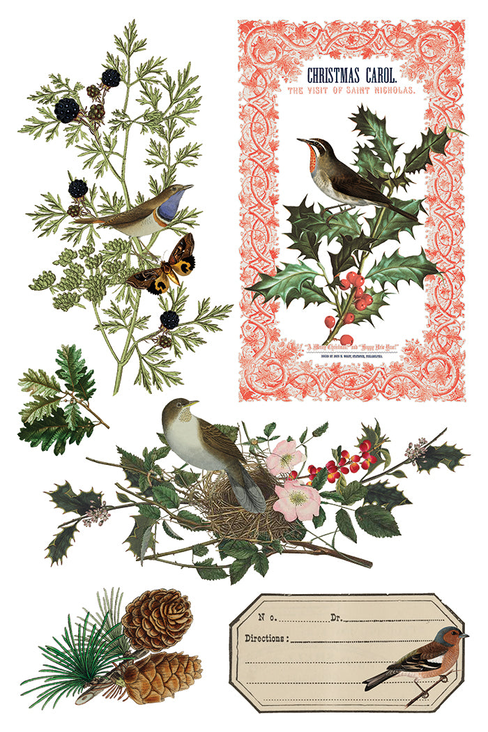 Winter Botanist IOD Transfer 8x12 Pad