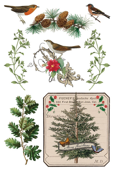 Winter Botanist IOD Transfer 8x12 Pad