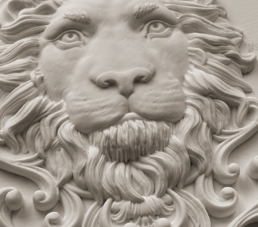 Leonidas 5x7 IOD Mould