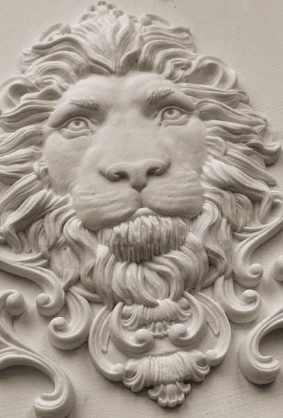 Leonidas 5x7 IOD Mould