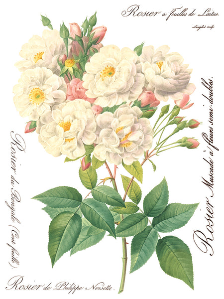 Rose Botanical  Decor IOD Transfer