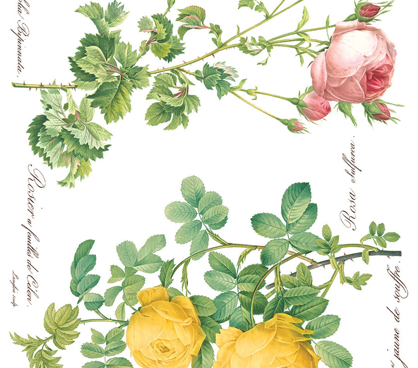 Rose Botanical  Decor IOD Transfer