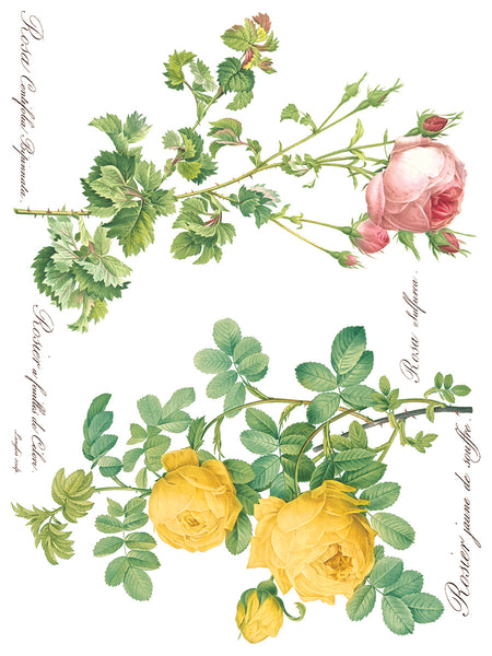 Rose Botanical  Decor IOD Transfer