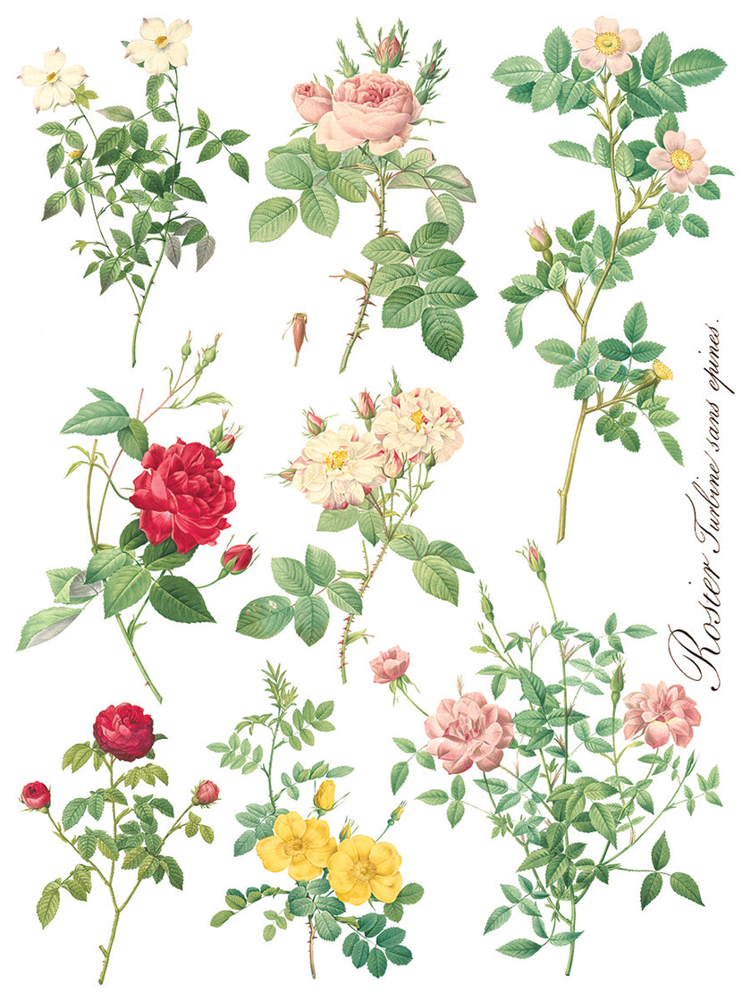 Rose Botanical  Decor IOD Transfer