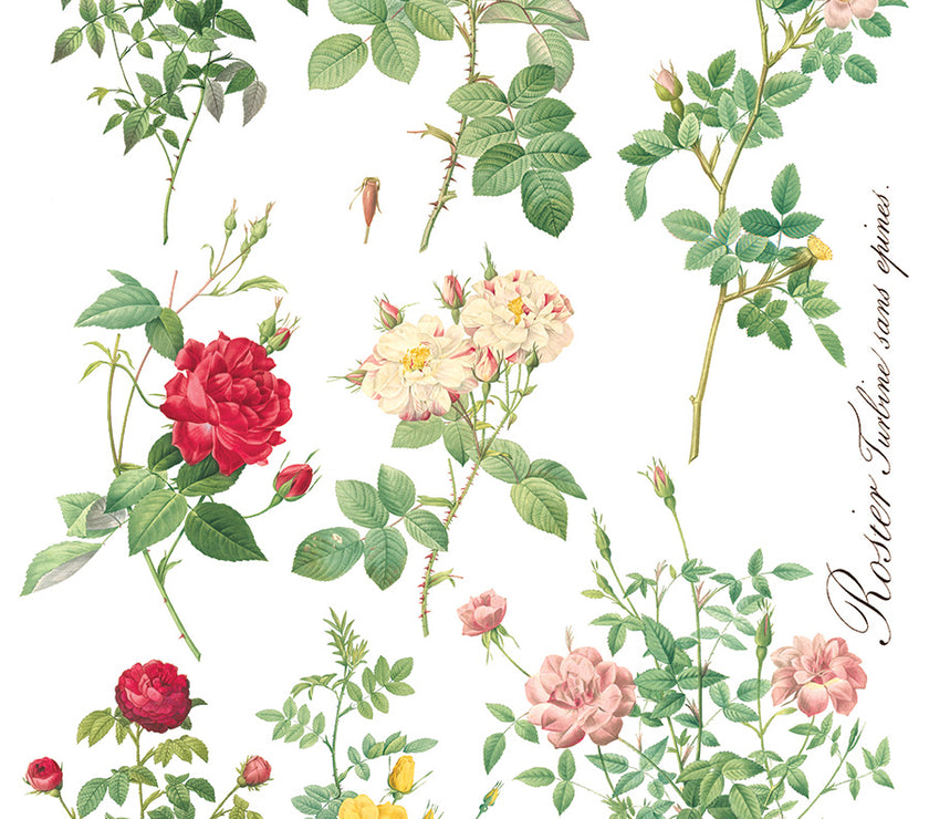 Rose Botanical  Decor IOD Transfer