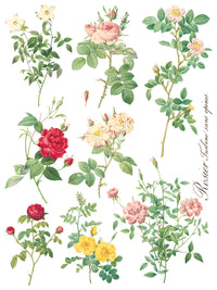 Rose Botanical  Decor IOD Transfer