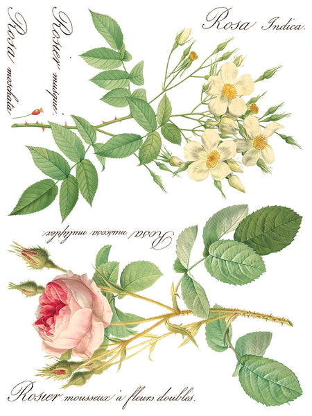 Rose Botanical  Decor IOD Transfer