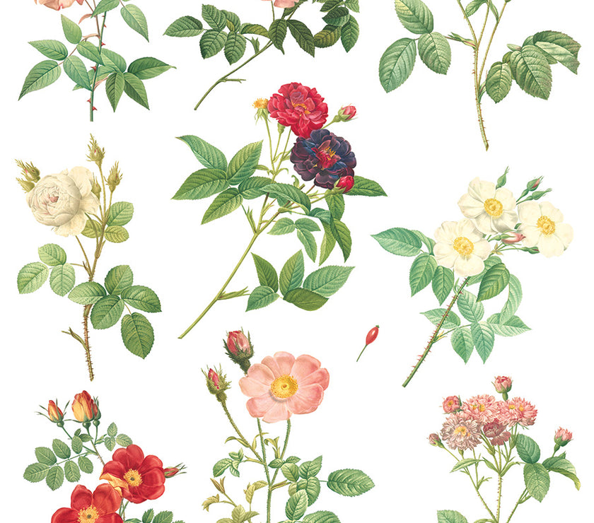 Rose Botanical  Decor IOD Transfer