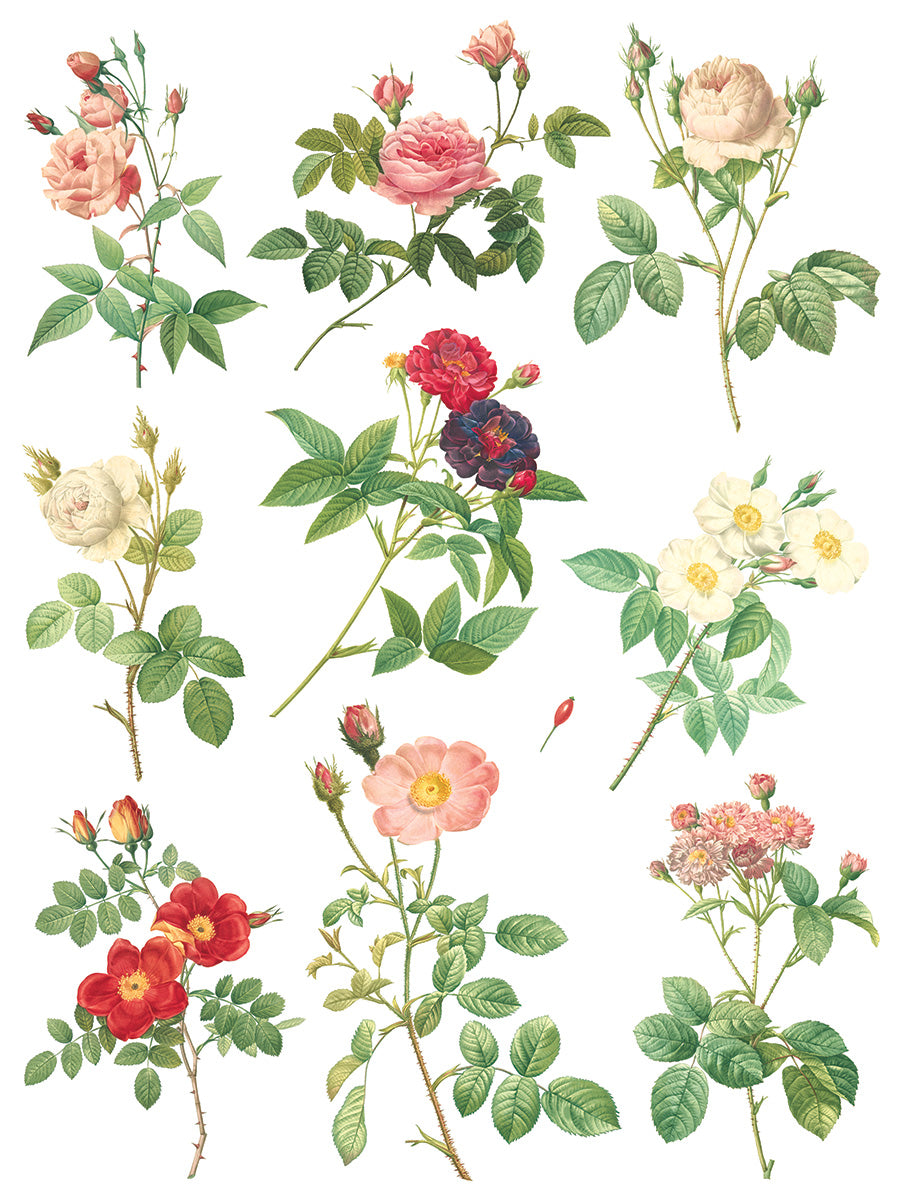 Rose Botanical  Decor IOD Transfer