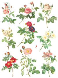 Rose Botanical  Decor IOD Transfer