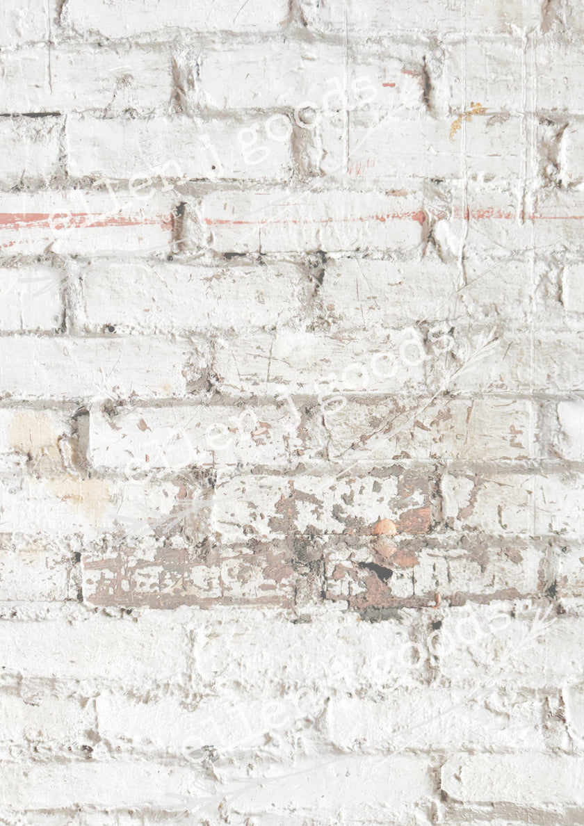 10 pack EJG CUSTOM SPRING RICE PAPER COLLECTION, Free Shipping!