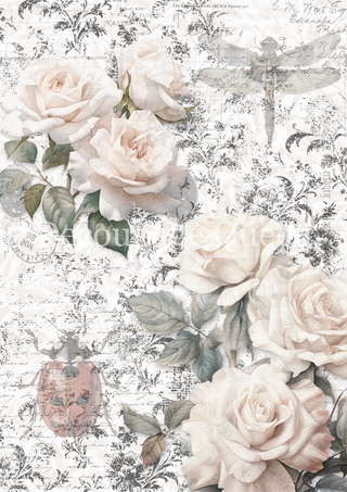 Sketches Background, Dainty & the Queen