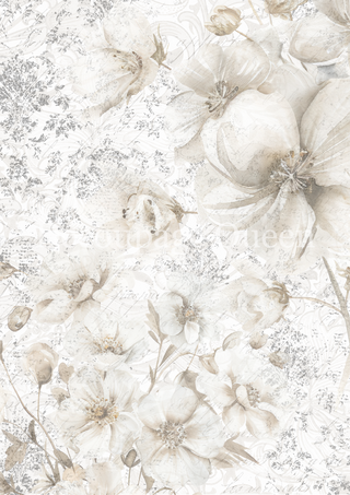 Delicate Flower, Dainty & the Queen