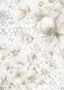 Delicate Flower, Dainty & the Queen