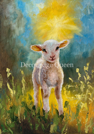 Lamb in the Light