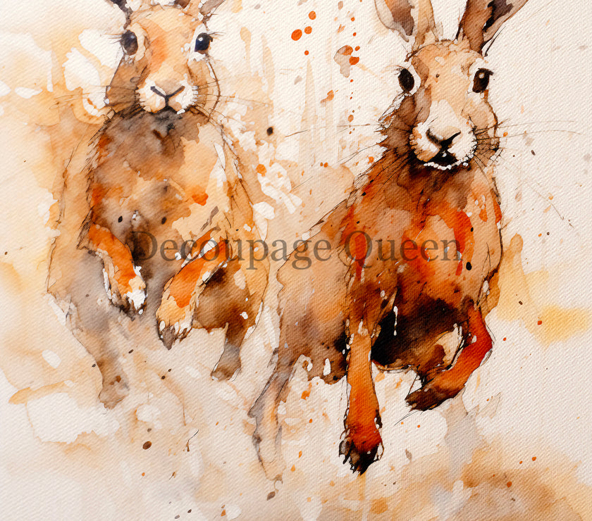 Decoupage Queen Andy Skinner Hare Spray Rice Paper