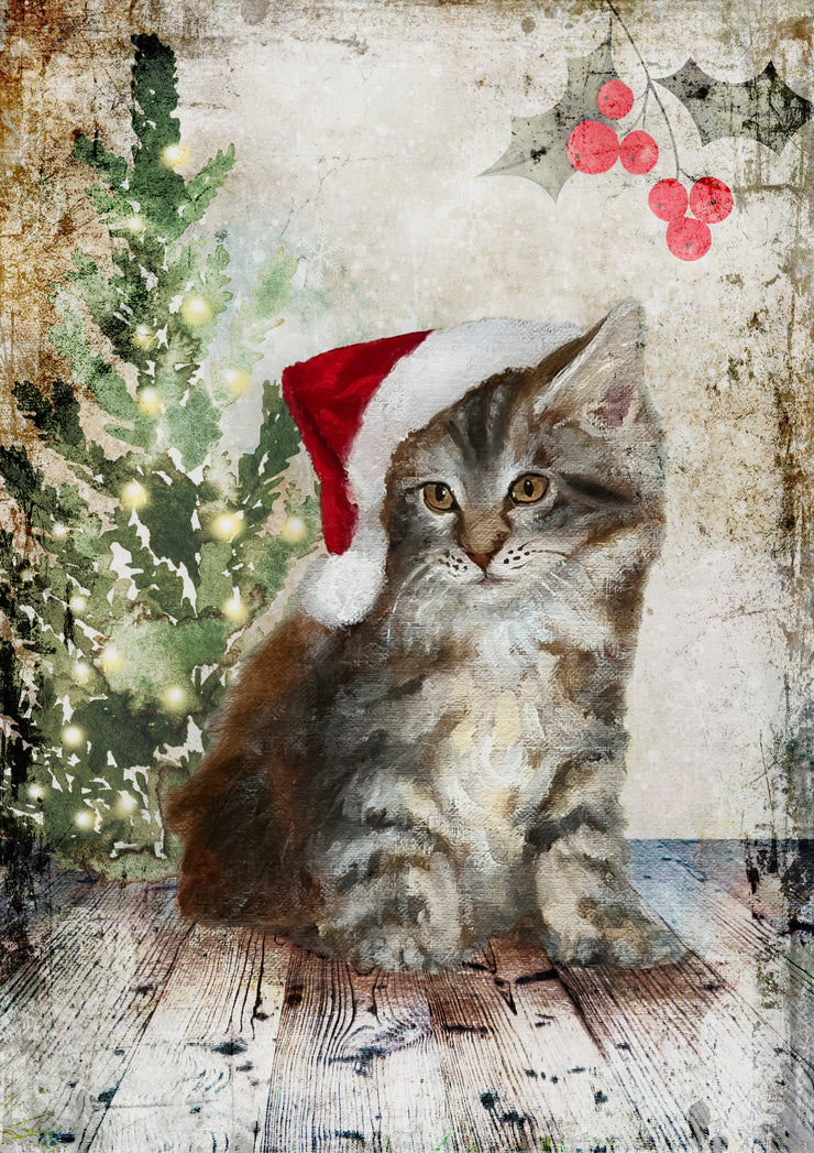 Teresa Rene Art - Fluffy Christmas Cat