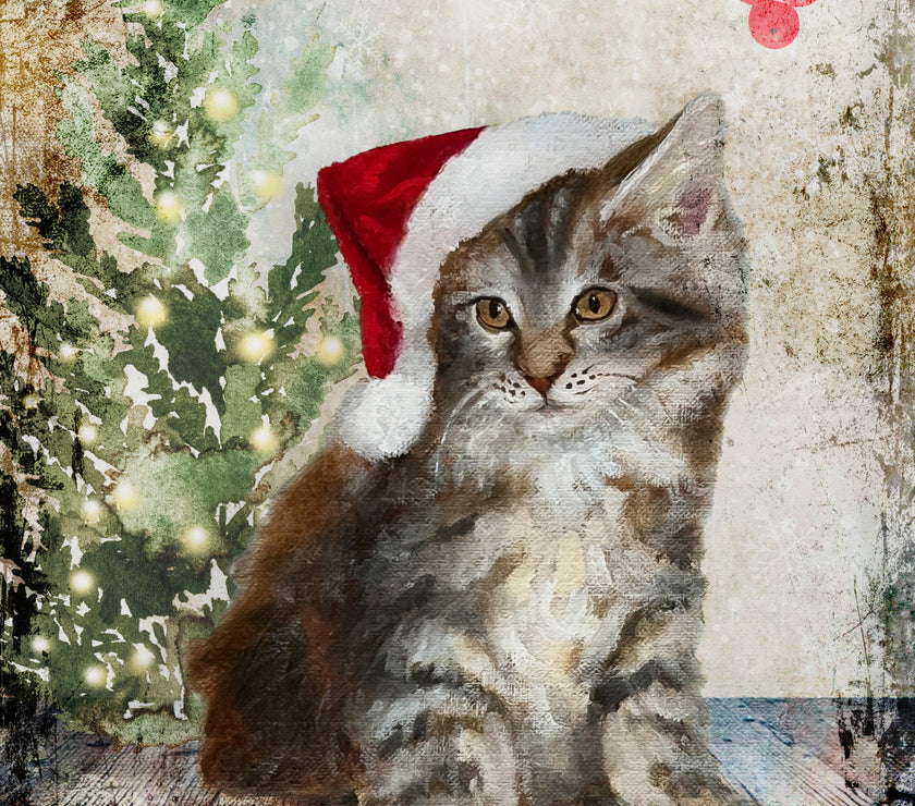 Teresa Rene Art - Fluffy Christmas Cat