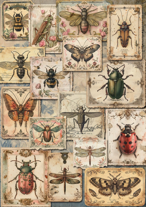 Iveta Ziedina Vintage Insects 2026 Complete Collection