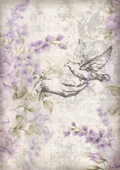 Dove - Iveta Ziedina Gentle Lilacs 2026