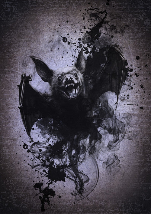 Bat - Raven’s Archive - Olga Heldwein Collection
