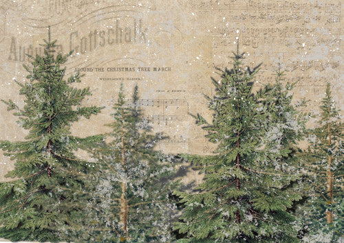 The North Woods - Northwoods Holiday - ellen j goods
