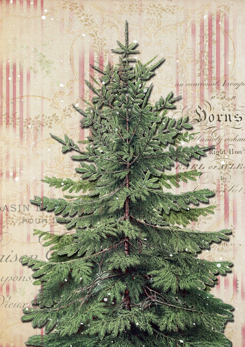 The Still Pine - Northwoods Holiday - ellen j goods