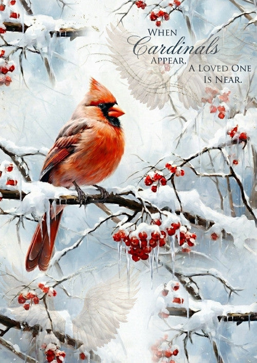 A Visit from Heaven - Winter Cardinals - Shannon Stefanacci