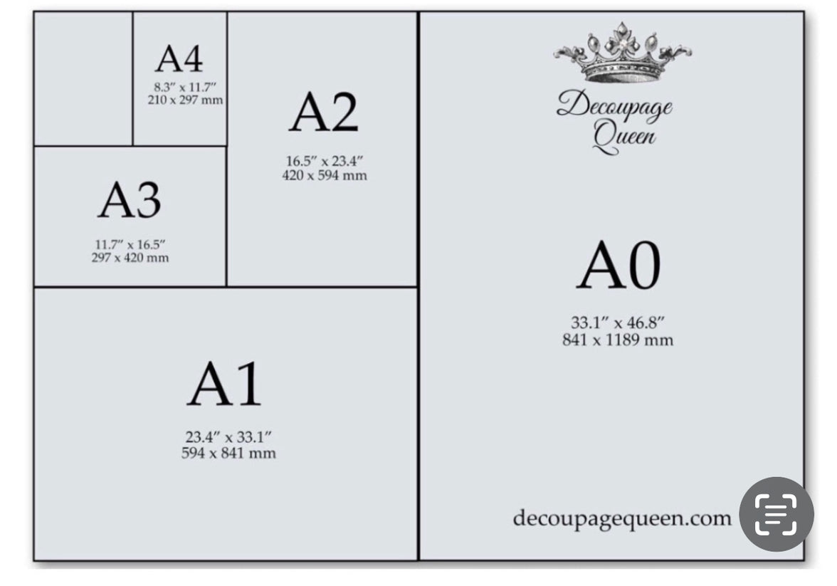 Female Cardinal Connie’s L&D
