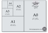 Female Cardinal Connie’s L&D