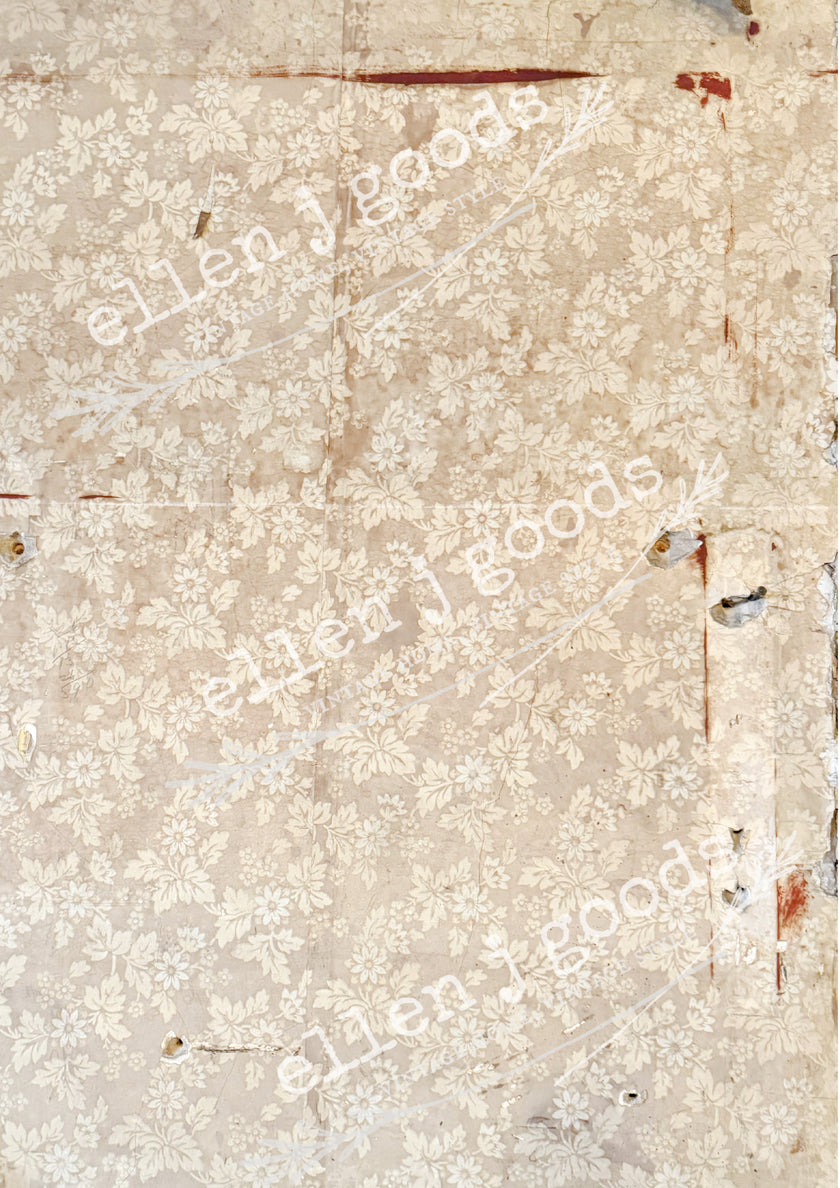 10 pack EJG CUSTOM SPRING RICE PAPER COLLECTION, Free Shipping!