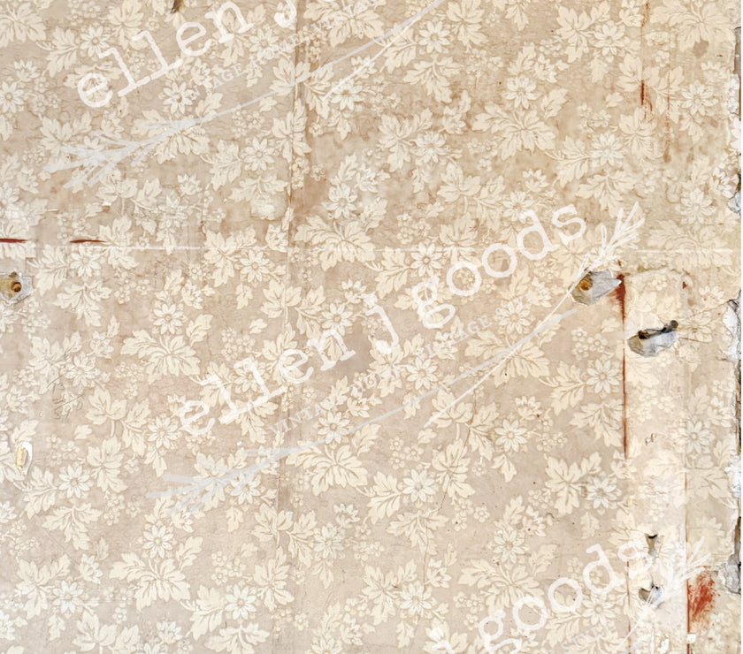 10 pack EJG CUSTOM SPRING RICE PAPER COLLECTION, Free Shipping!