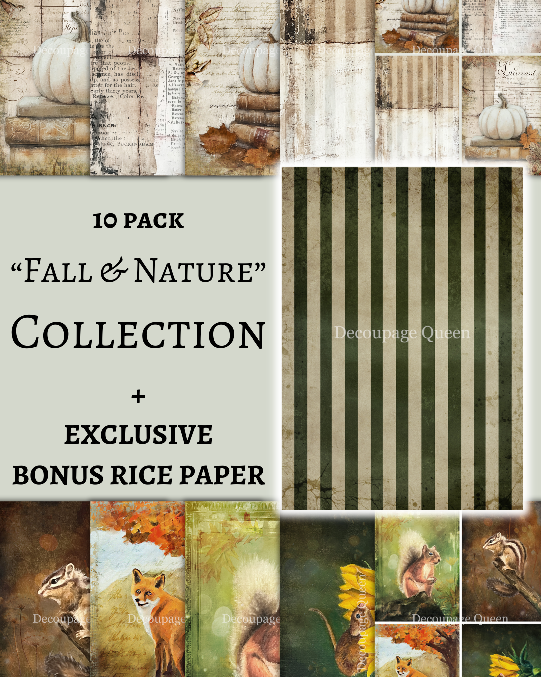Decoupage Queen Fall and Nature 10 Pack (W/ Bonus Paper)