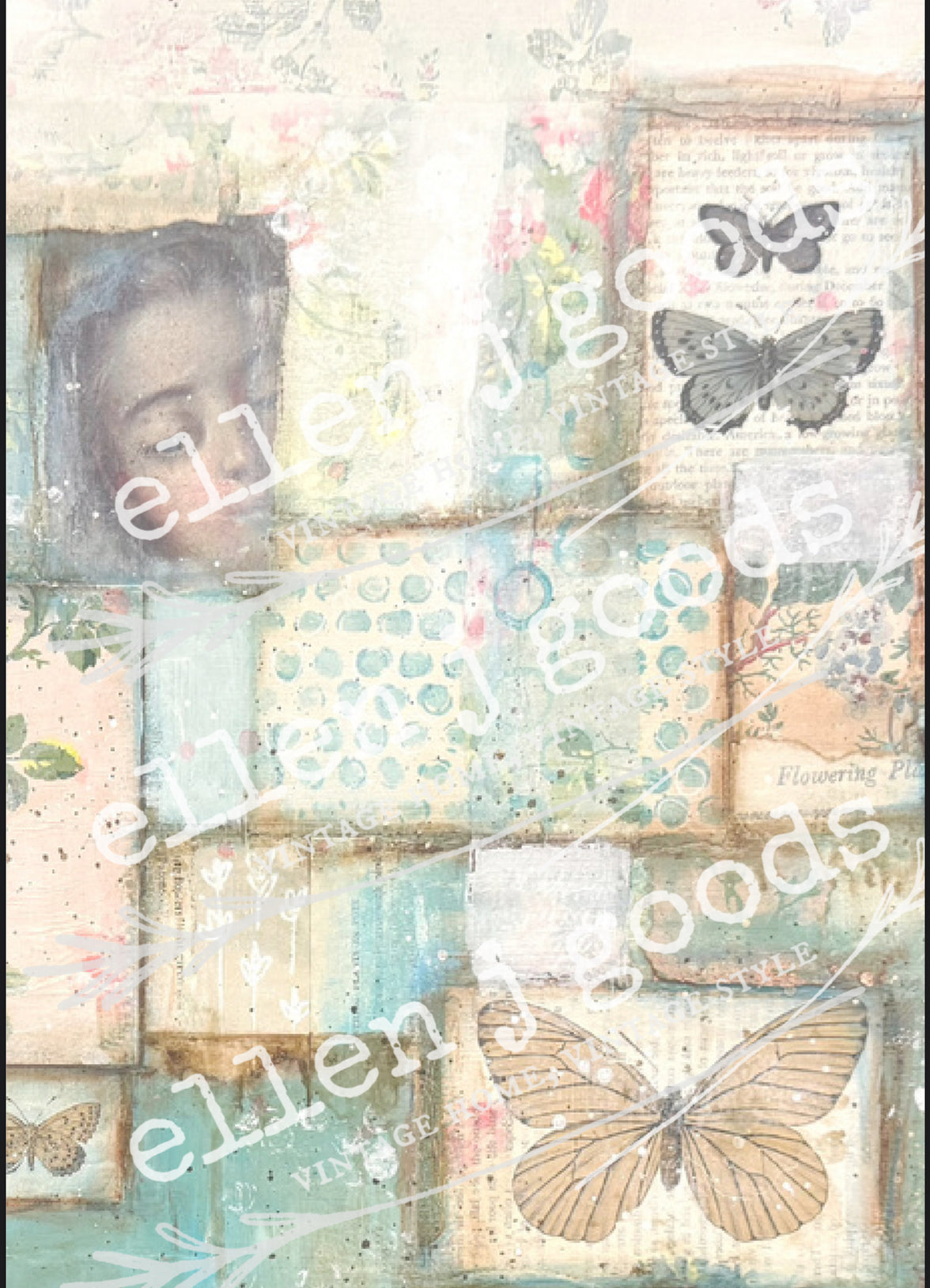 EJG Summer 2025 4 Pack