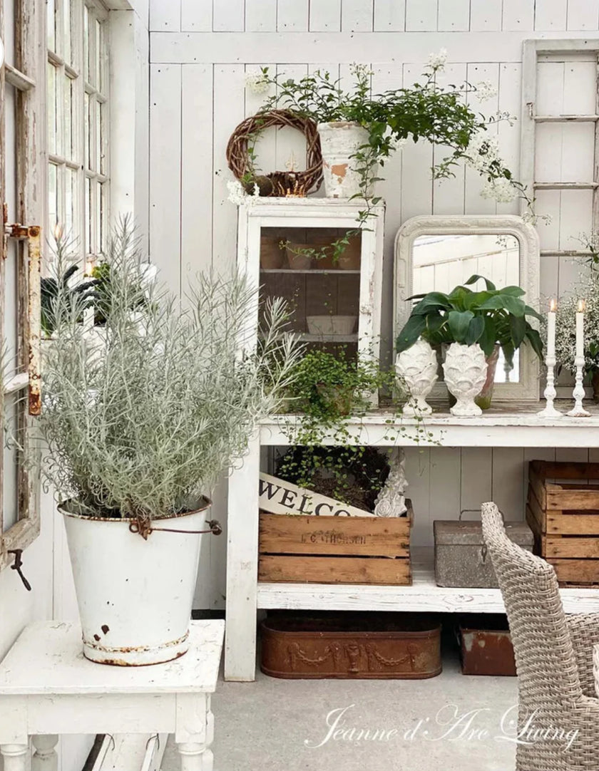 Jeanne d'Arc Living - Issue #6 2025