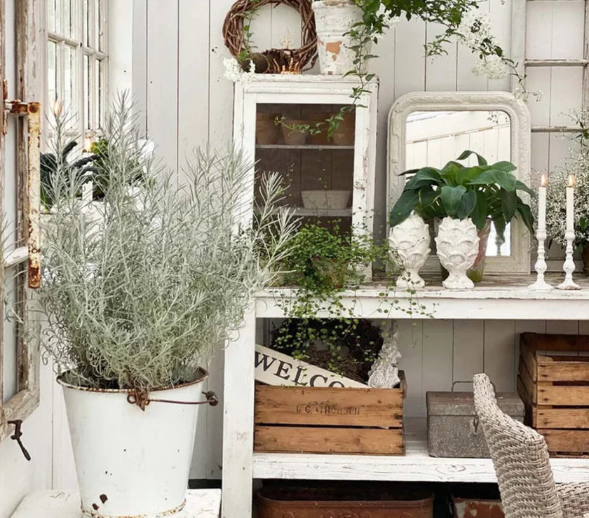 Jeanne d'Arc Living - Issue #6 2025