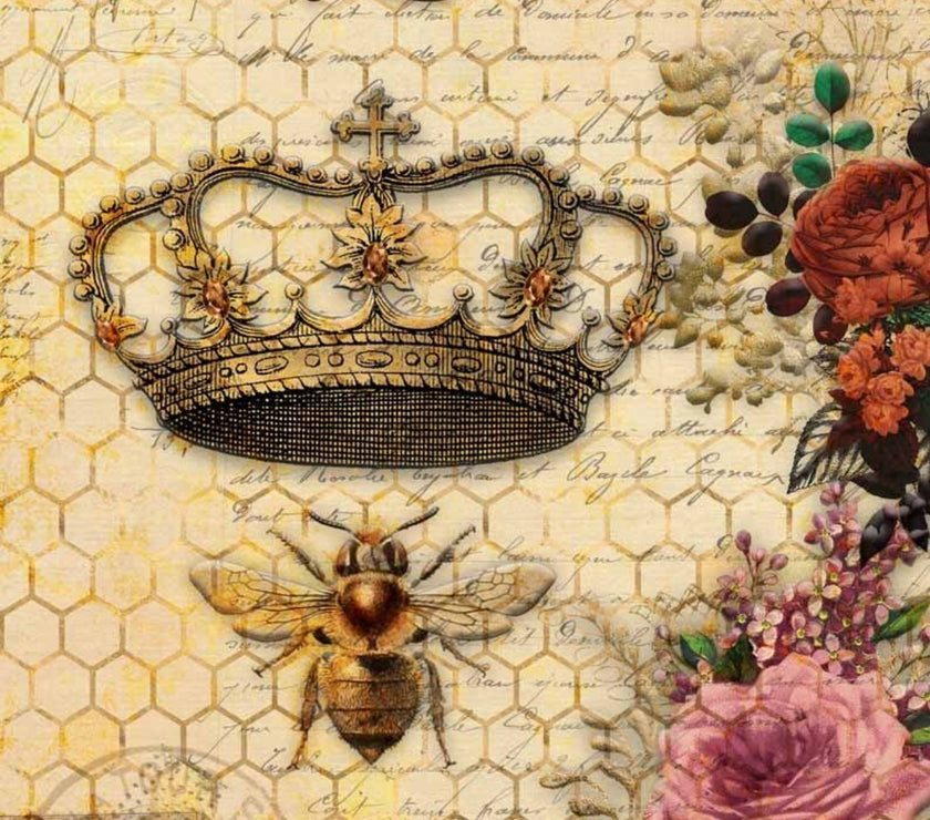 5 Year Anniversary Pack