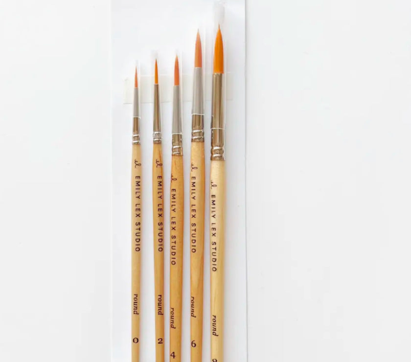 Emily Lex Watercolor Workbooks and Brushes