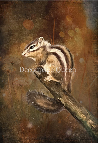 Resting Chipmunk Rice Paper