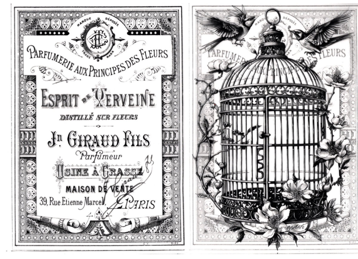 Vintage Birds Vellum Paper Kit