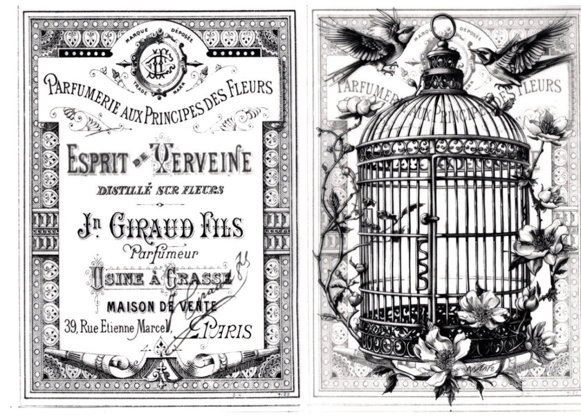 Vintage Birds Vellum Paper Kit