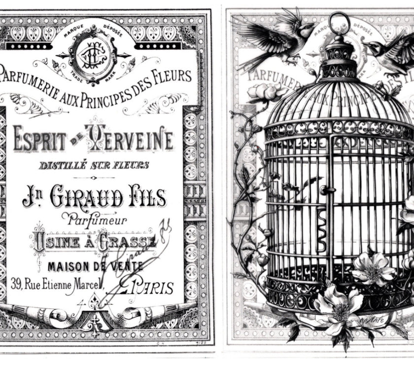 Vintage Birds Vellum Paper Kit