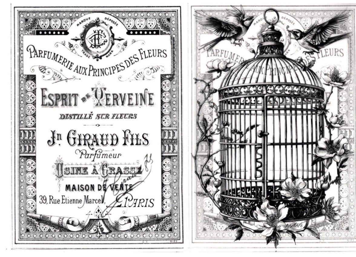 Vintage Birds Vellum Paper Kit