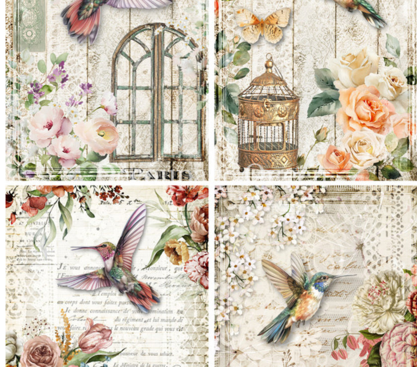 Hummingbird Four Pack