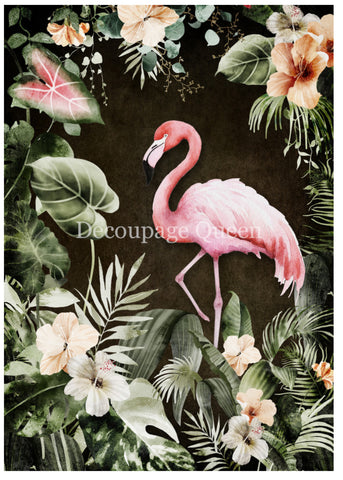 Tropical Flamingo