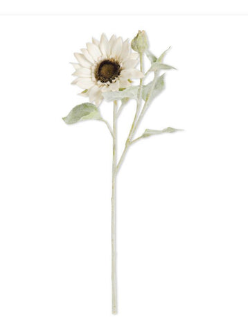 White distressed Sunflower