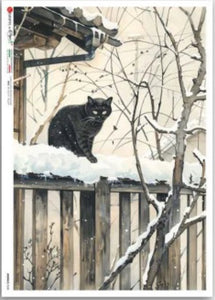 Cat on a Ledge in the Snow II